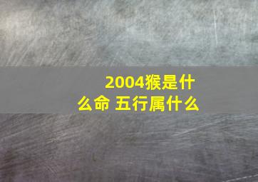 2004猴是什么命 五行属什么